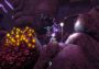The UnderGarden EN/DE/FR Global Steam Digital Key