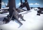 The Witness EN/DE/FR/IT/PL/CS Global Steam Digital Key