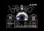 Frail Hearts: Versicorae Domlion EN/IT Global Steam Digital Key