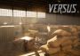 Versus EN Global Steam Digital Key