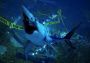 Maneater - Tiger Shark Skin DLC EN EU Epic Games Digital Key