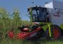 Professional Farmer: Cattle and Crops Global Steam Digital Key
