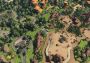 Zoo Tycoon - Ultimate Animal Collection EU Xbox One/Series Digital Key