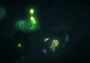 UnderWater Adventure EN Global Steam Digital Key