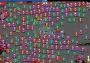 Pixel Survivors: Roguelike Global Steam Digital Key