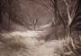 Drizzlepath: Deja Vu EN Argentina Xbox One/Series Digital Key