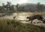 theHunter: Call of the Wild - Parque Fernando DLC Canada Xbox One/Series Digital Key