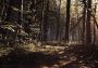 Blair Witch Global Steam Digital Key