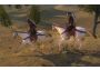 Mount & Blade: Warband EU Xbox One/Series Digital Key