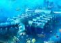 Subnautica - Steam Account Global Steam Digital Key