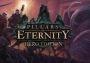 Pillars of Eternity Hero Edition EU Steam Digital Key