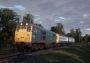 Train Sim World 2: BR Class 31 Loco DLC EN/DE/FR/IT/PL/RU/ZH/ES Global Steam Digital Key