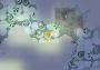 Unexplored EN EU Steam Digital Key