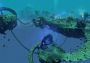 Age of Wonders 4: Empires & Ashes DLC ROW Steam Digital Key