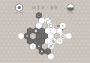 Hex-Up EN Global Steam Digital Key