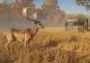 theHunter: Call of the Wild: Tents & Ground Blinds DLC EU Steam Digital Key
