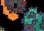 Curious Expedition 2 EN EU Xbox One/Series Digital Key