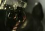 Murdered: Soul Suspect EN/DE/FR/IT Turkey Xbox One/Series Digital Key