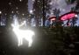 Lucid Cycle EN Argentina Xbox One/Series Digital Key