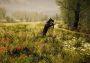 Animal Simulator Global Steam Digital Key