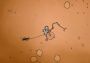 39 Days to Mars Global Steam Digital Key