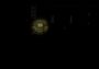 Clandestinity of Elsie EN Global Steam Digital Key