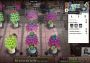 Seeds of Power - Bundle Canada Xbox One/Series Digital Key