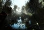 Professional Fishing - Starter Kit Pro DLC Global Steam Digital Key