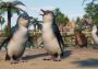 Planet Zoo - Oceania Pack DLC Global Steam Digital Key
