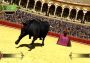Toro EN/ES Global Steam Digital Key