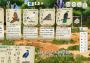Wingspan: European Expansion + Wingspan: Oceania Expansion - Bundle DLC Brazil Xbox One/Series Digital Key
