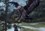 Lord of the Rings: War in the North EN/DE/FR/IT/PL/PT/RU/ES Global Steam Digital Key