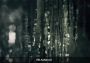 AirServer EN Argentina Xbox One/Series Digital Key