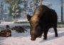 Planet Zoo - Eurasia Animal Pack DLC Turkey Steam Digital Key