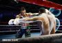 Creed: Rise to Glory VR Global Steam Digital Key