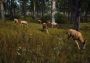 Way of the Hunter - Season Pass DLC Argentina Xbox Series Digital Key