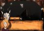 Mysteria of the World: The Forest of Death EN/RU Global Steam Digital Key