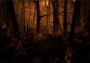 Kholat EN Argentina Xbox One/Series Digital Key