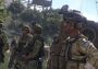 Arma 2: Army of the Czech Republic DLC EN/FR/IT/CS/RU Global Steam Digital Key