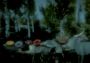 Flower Challenge EN Global Steam Digital Key