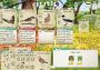 Wingspan + European Expansion - Bundle Argentina Xbox One/Series Digital Key