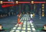 Kung Fu Strike: The Warrior's Rise - Master Level DLC EN Global Steam Digital Key