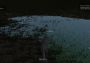 Wolf Simulator EN Global Steam Digital Key