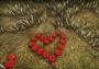 Flower Challenge EN Global Steam Digital Key