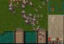 Lords of the Realm II EN Global Steam Digital Key