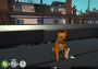 The Tenants: Pets DLC Global Steam Digital Key
