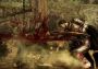BERSERK and the Band of the Hawk EN/JA Global Steam Digital Key