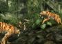 Tomb Raider: Underworld EN/DE/FR/IT/ES EU Steam Digital Key