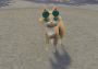 The Good Life EN Global Steam Digital Key