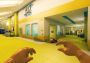 Viscera Cleanup Detail - Complete EN Global Steam Digital Key